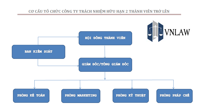Cơ cấu tổ chức công ty TNHH 2 thành viên thế nào